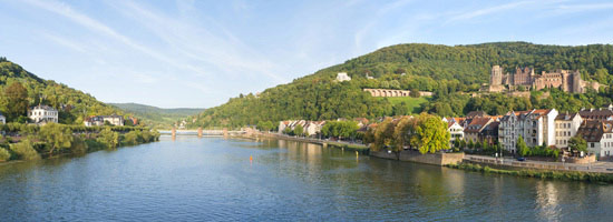 Old castle of Heidelberg